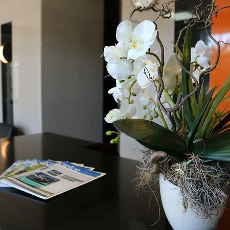 Hotel Dyminy كيلتشي المظهر الخارجي الصورة